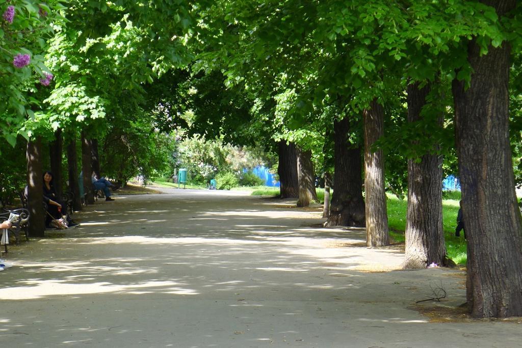 Vinohrady Ii * Praha